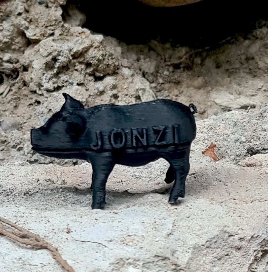 Uno de los cerdos sueltos en Sevilla.