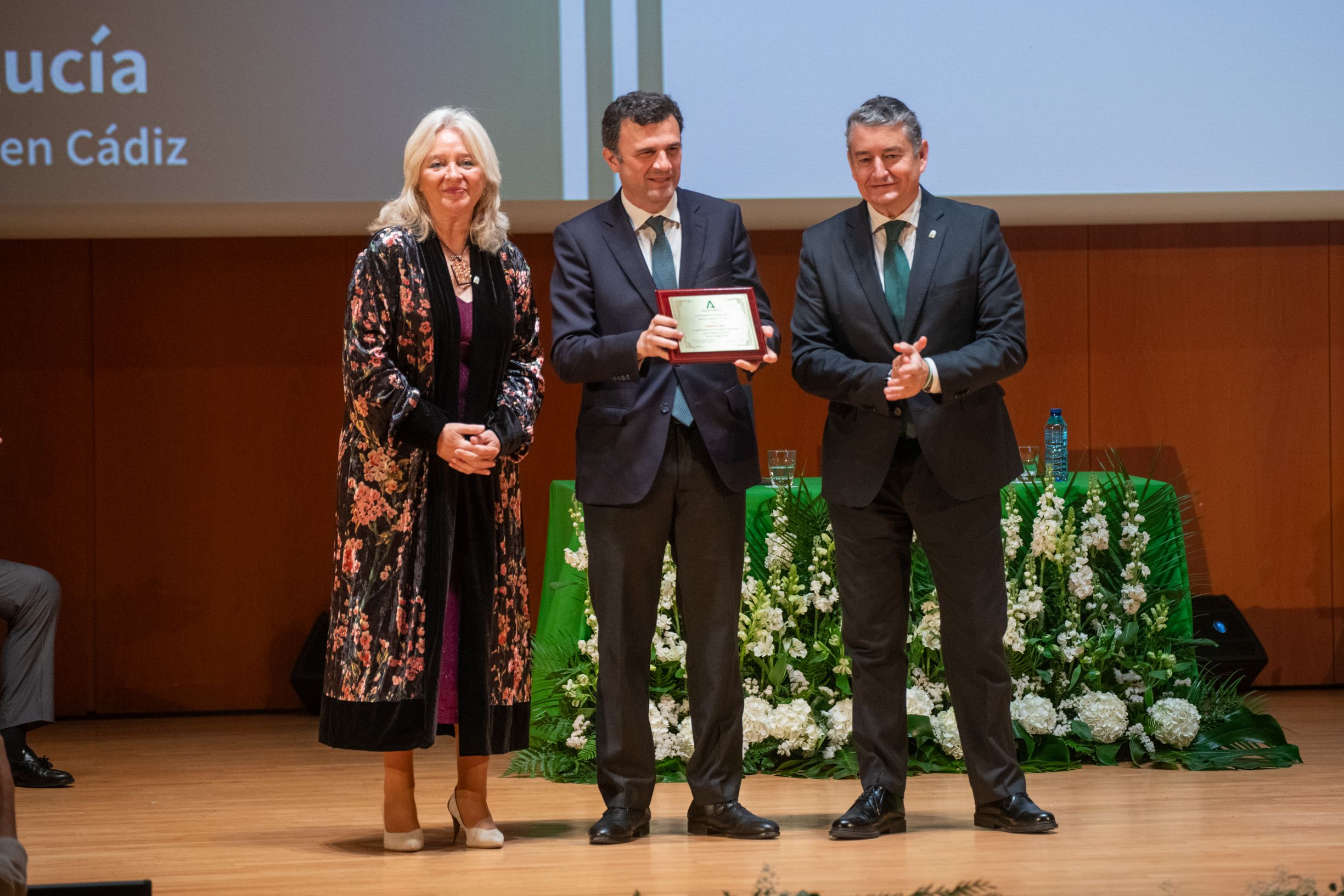 BANDERA DE ANDALUCIA jose maria reyna cabrera