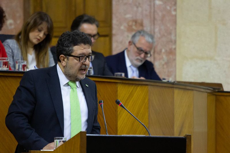El líder de Vox en Andalucía, Francisco Serrano, en el Parlamento andaluz.