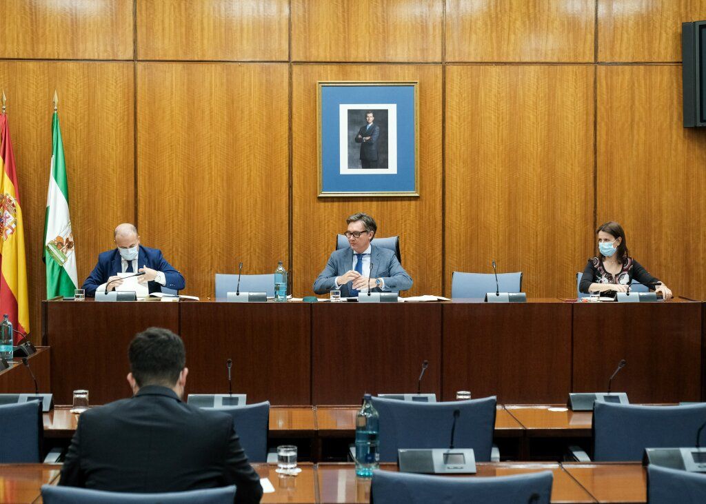 Un momento de la comisión, presidida por Gavira, en el centro de la imagen. FOTO: PARLAMENTO