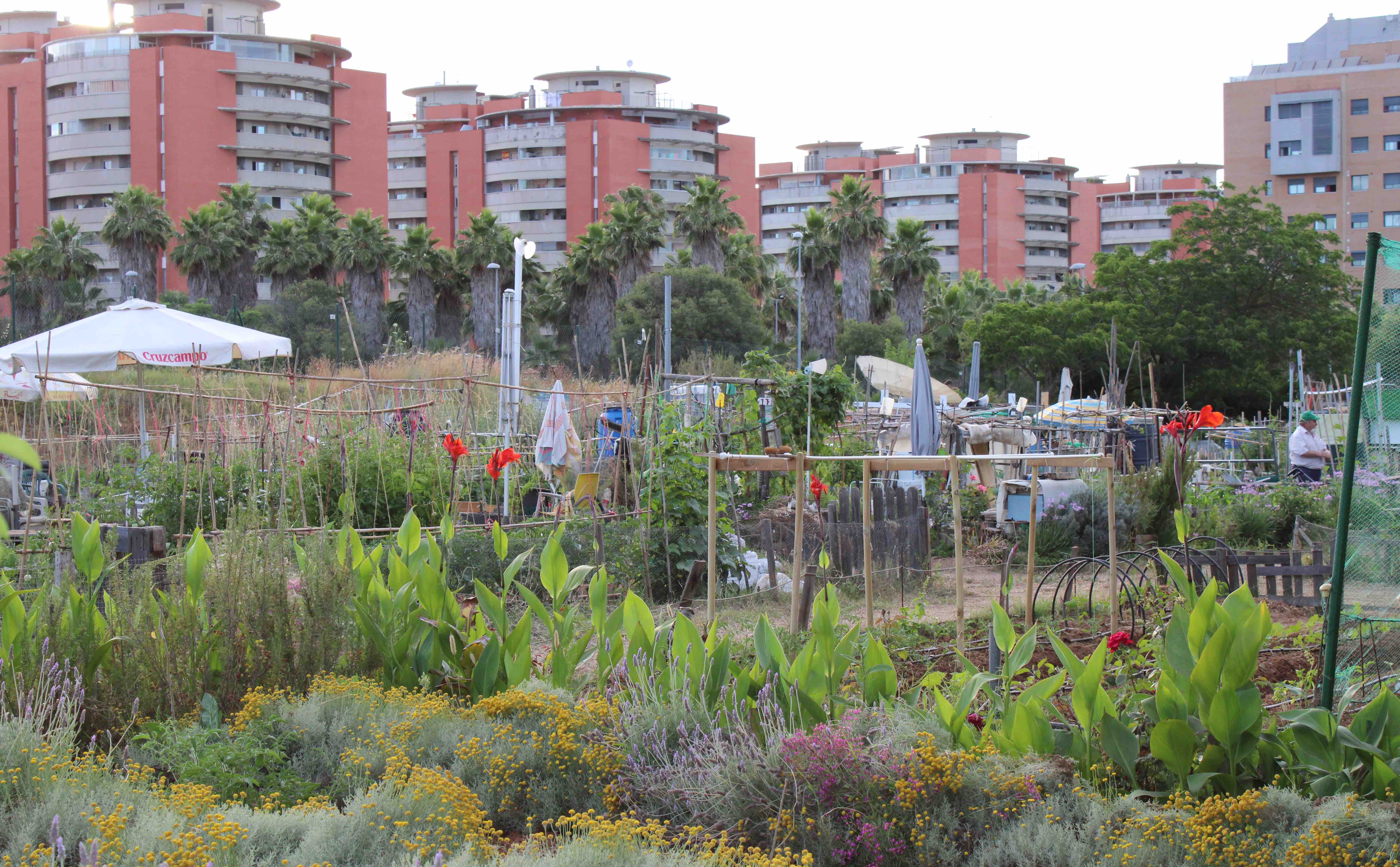 Huerto familiar en Bellavista, junto a las Torres de Hércules. FOTO: ISABEL MONTES