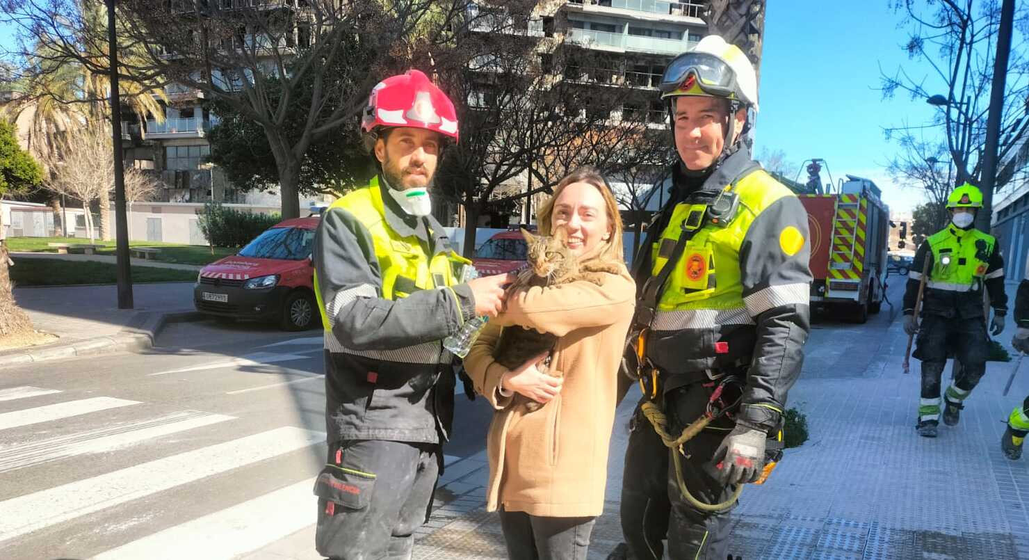 El gato, recuperado tras el incendio de Valencia ocho días.