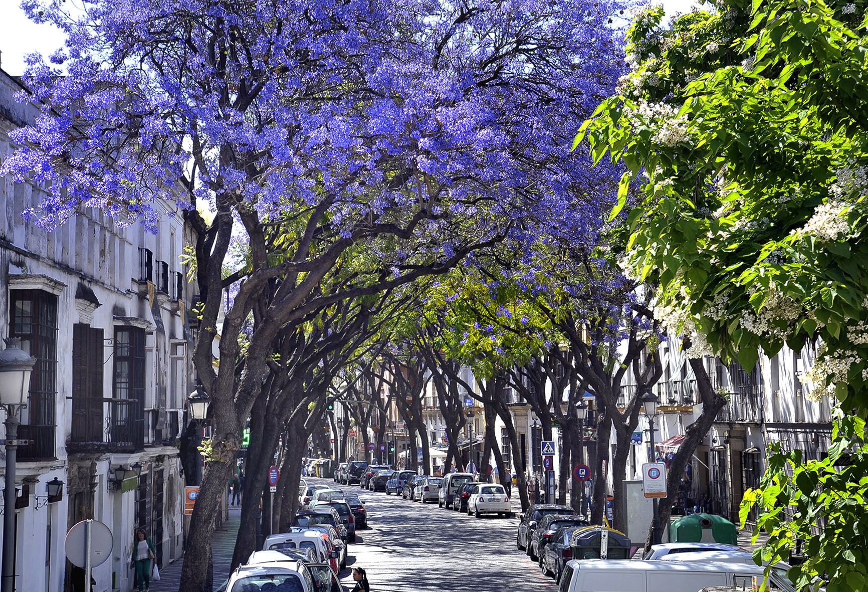 La calle Porvera, en una imagen reciente.