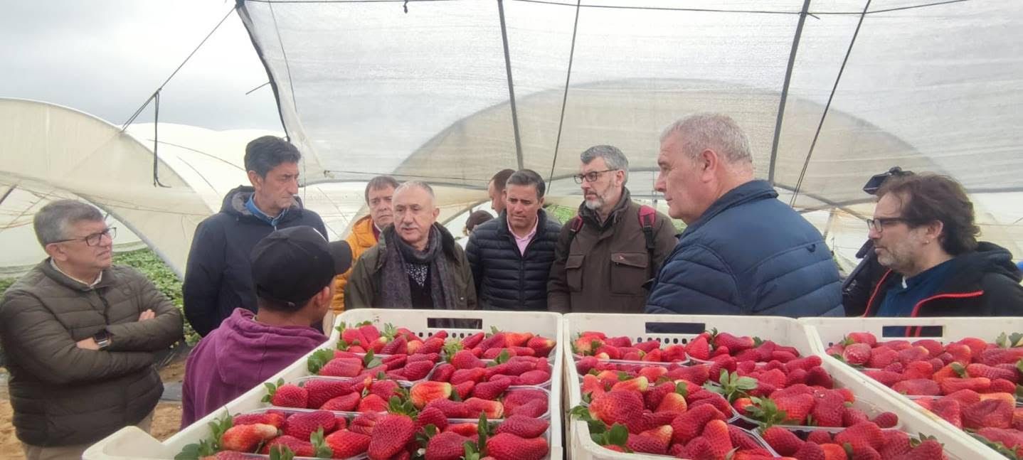 Varios miembros de UGT durante su visita a una finca de producción de fresas.