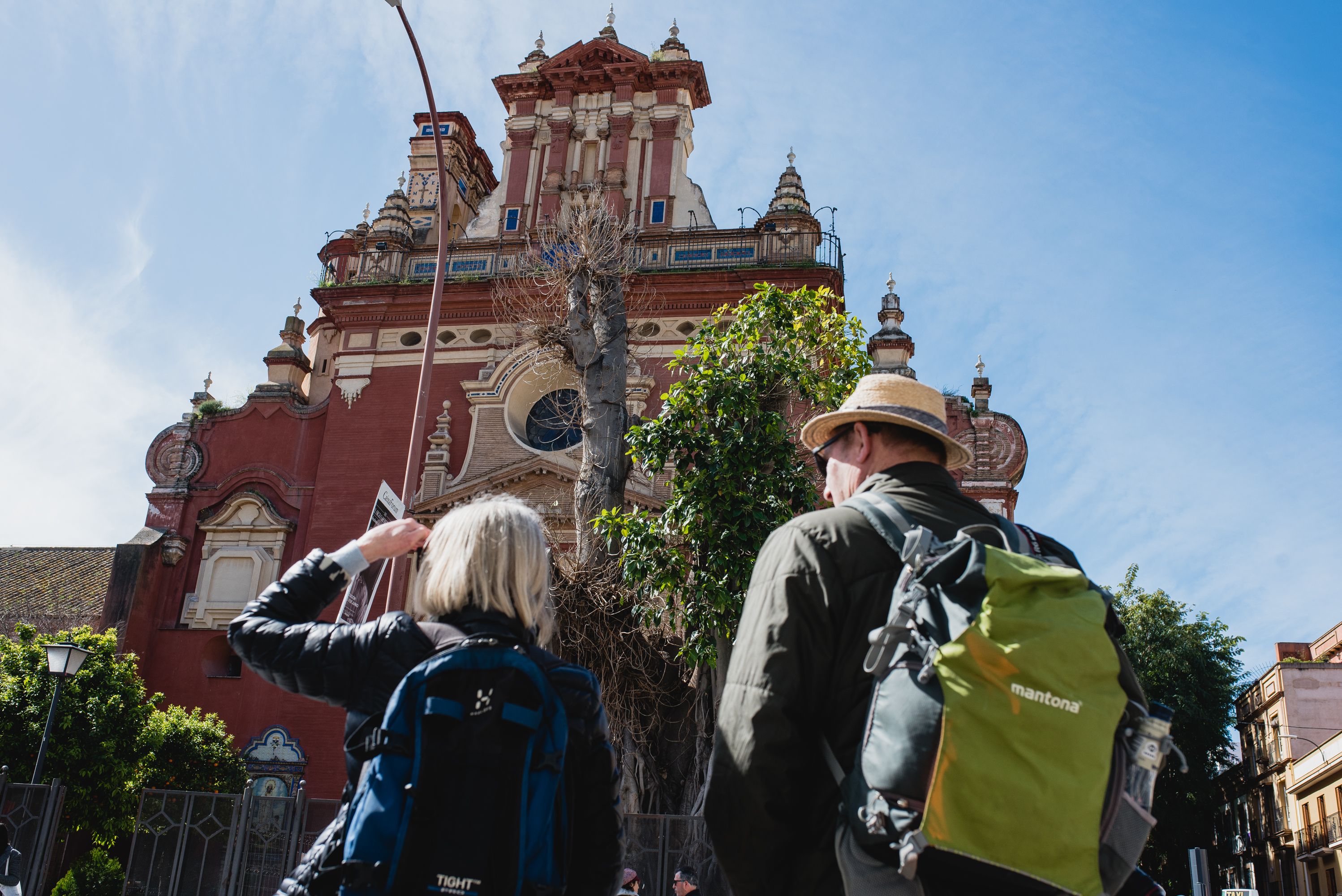 El ficus de San Jacinto, en Sevilla, posee un estado preocupante.