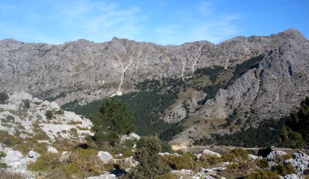 Sierra del Endrinal, en Grazalema, en la provincia de Cádiz.