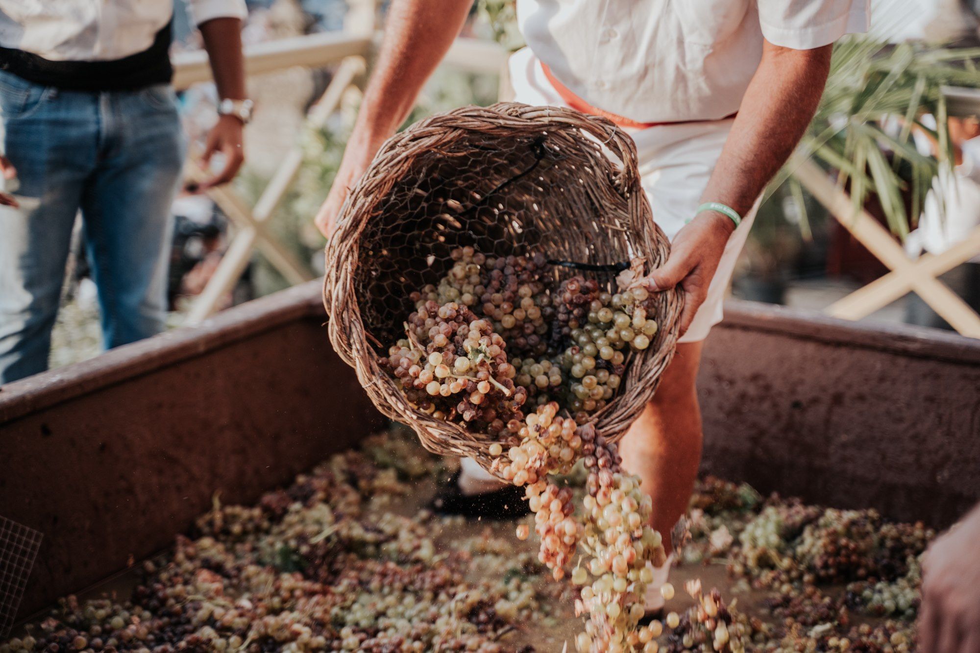Pisa de la uva, en una pasada edición en Jerez. FOTO: CONSEJO