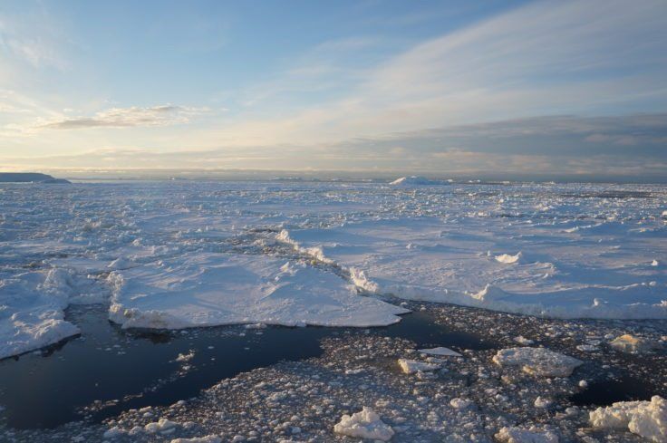 El hielo en el Mar de Weddell ha retrocedido en un tercio durante los últimos cinco años - SUSIE GRANT