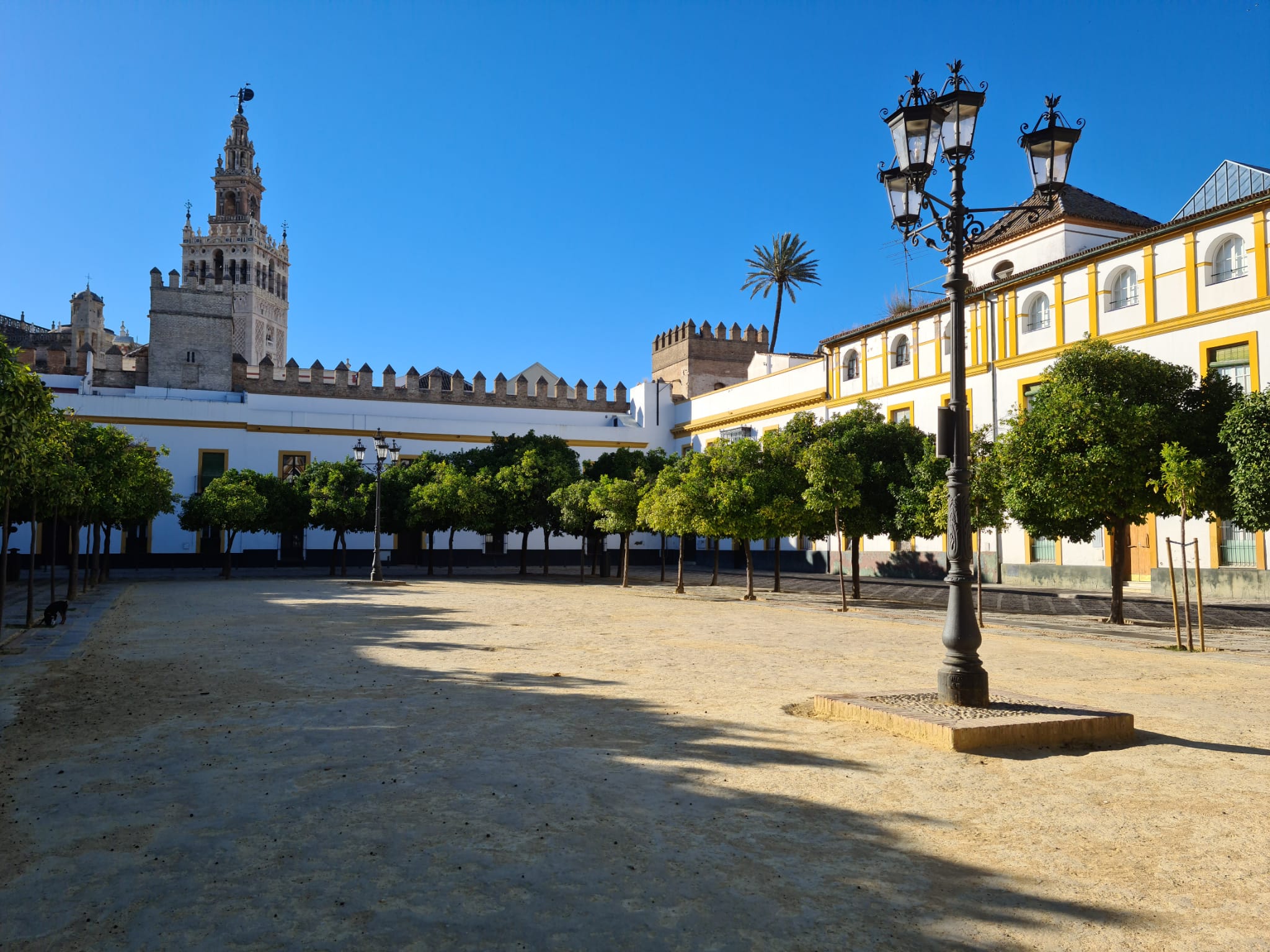 Patio de Banderas en Sevilla. FOTO: LUZ MARÍA CASTRO