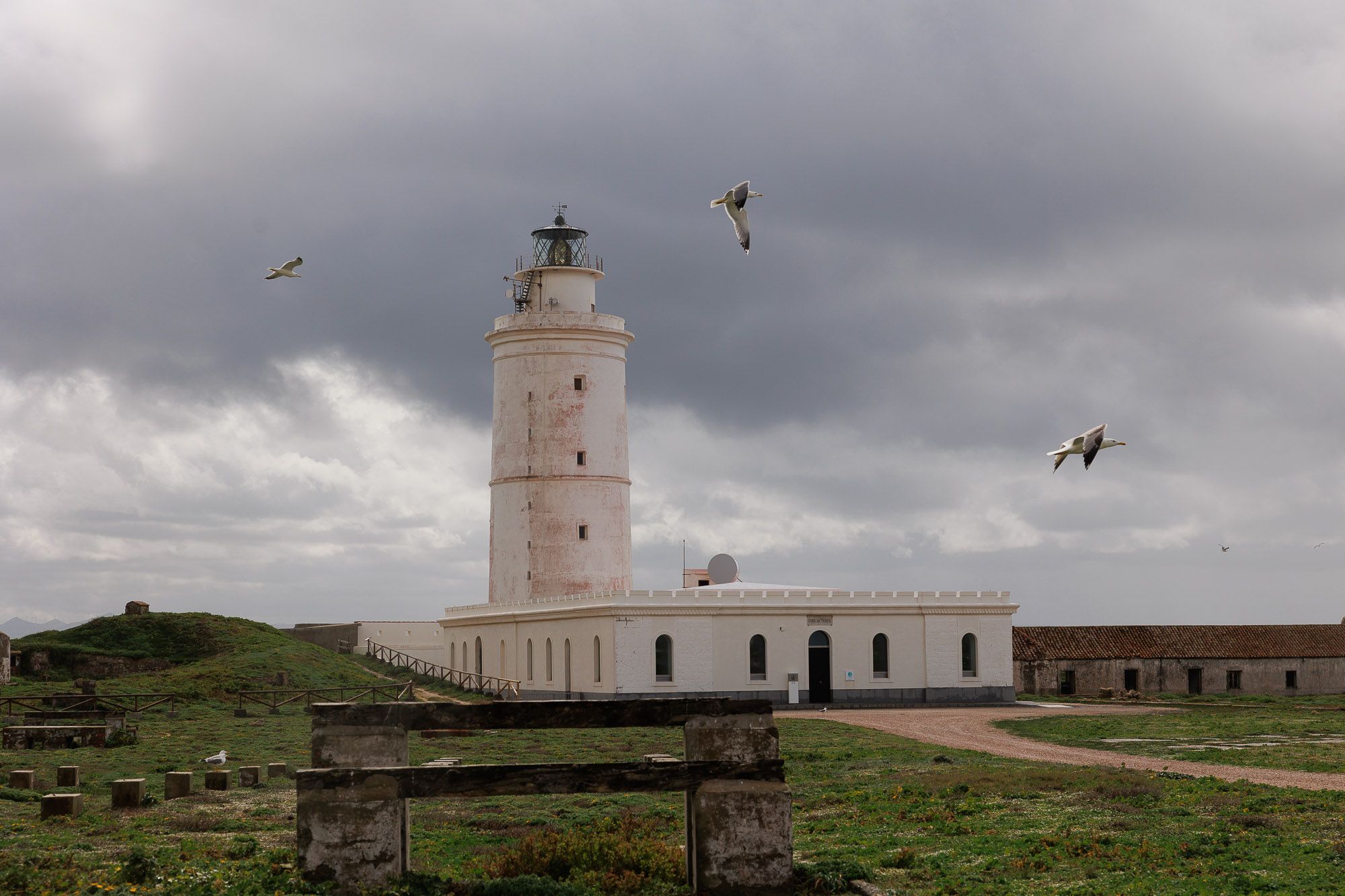 Faro de Tarifa 