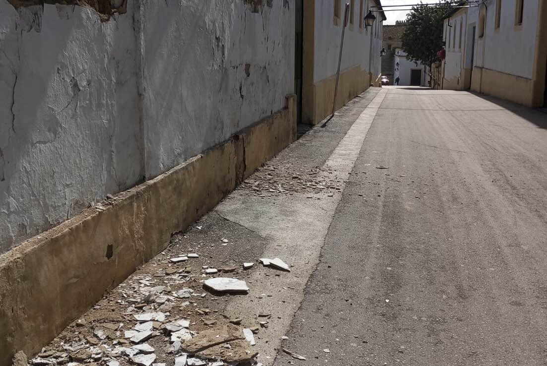 Caídas de cascotes a la vía pública del abandonado palacio del Pantera, que está a la venta.