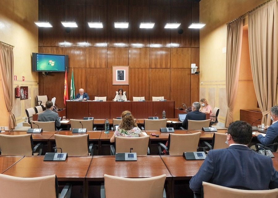 La subcomisión de Salud y Familias en la primera ronda de comparecencias.