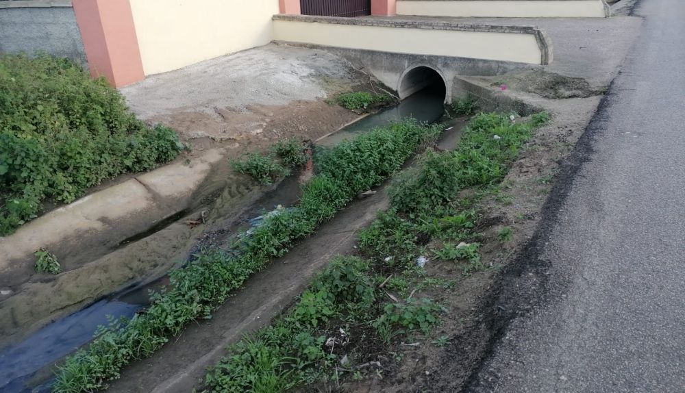 WhatsApp Image 2024 03 13 at 10.56.33