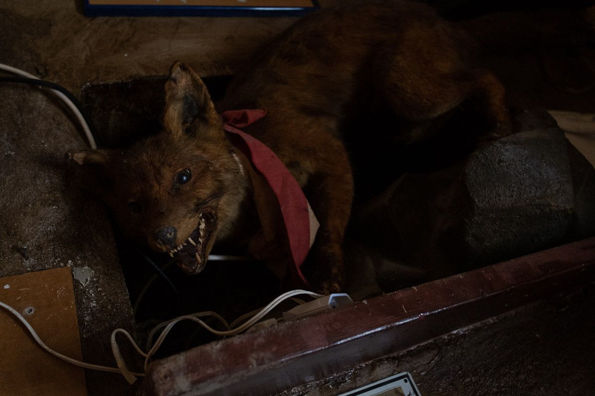 Detalle de la decoración del local.