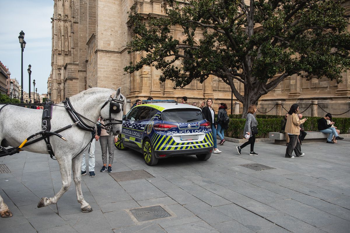 Un coche de Policía Local en Sevilla.