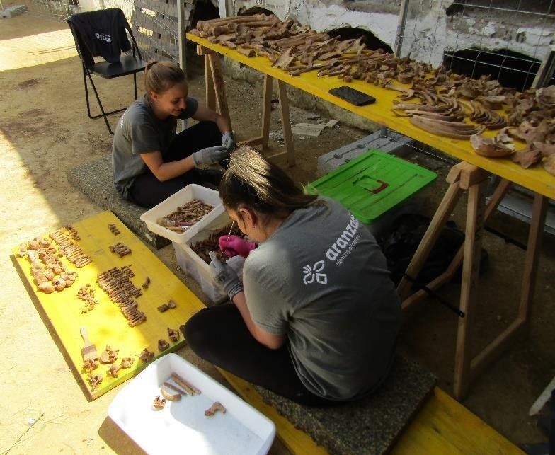 Personal de Aranzadi, trabajando en la fosa de Pico Reja. 