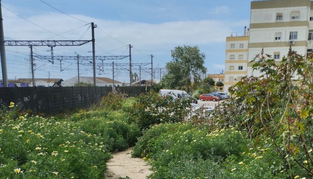Otra perspectiva del terreno.  CEDIDA