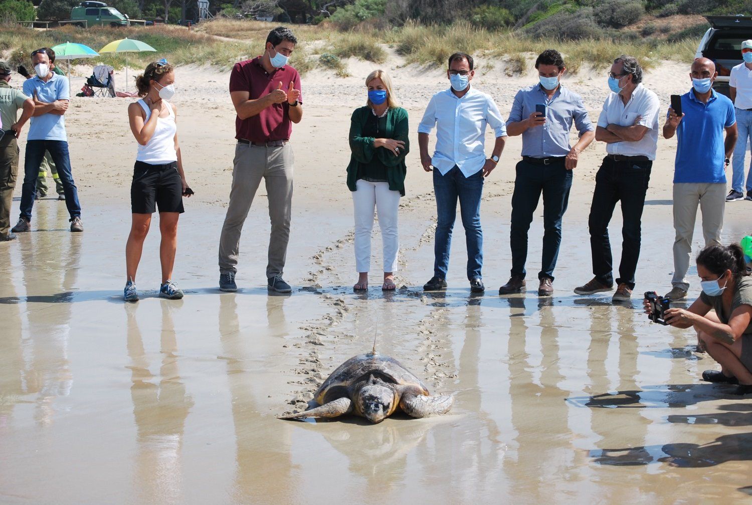 Liberada en Los Lances una tortuga boba encontrada varada en la playa de Cádiz - JUNTA DE ANDALUCÍA