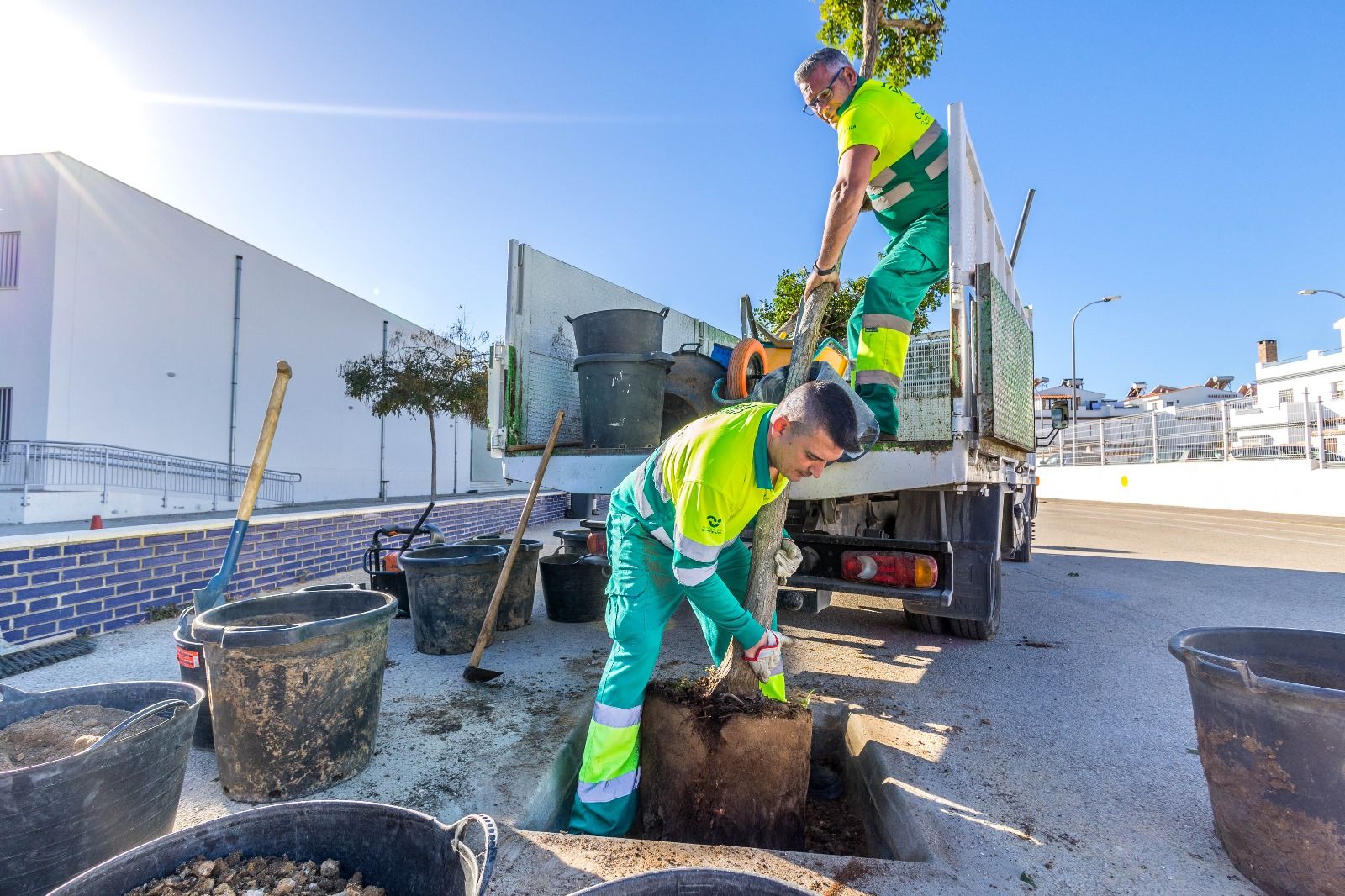 Obras de embellecimiento de las zonas verdes de los colegios de San Fernando.