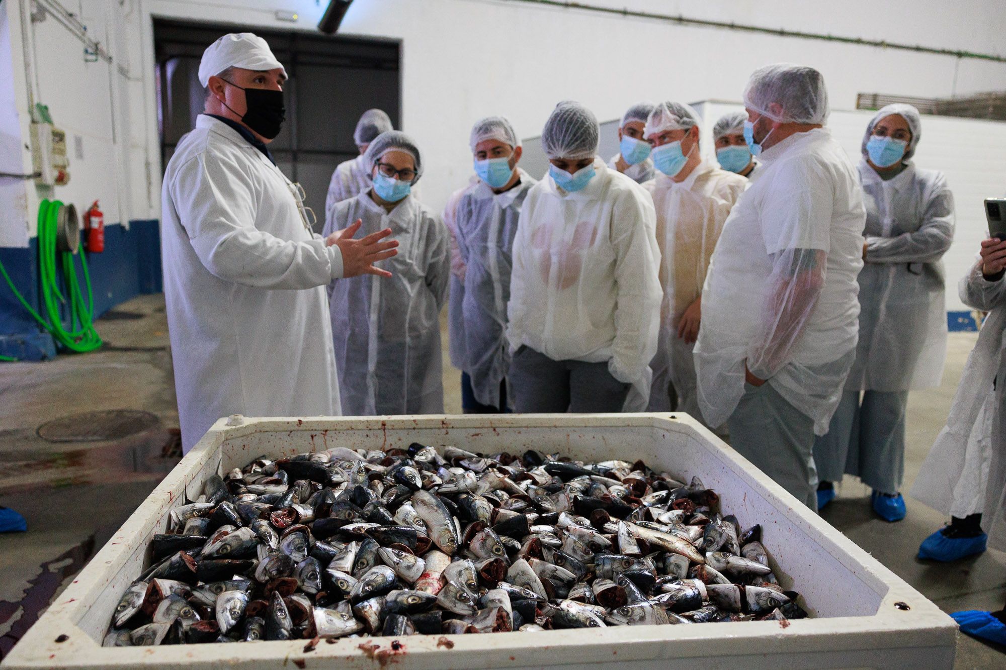 Conservera Tarifeña  02