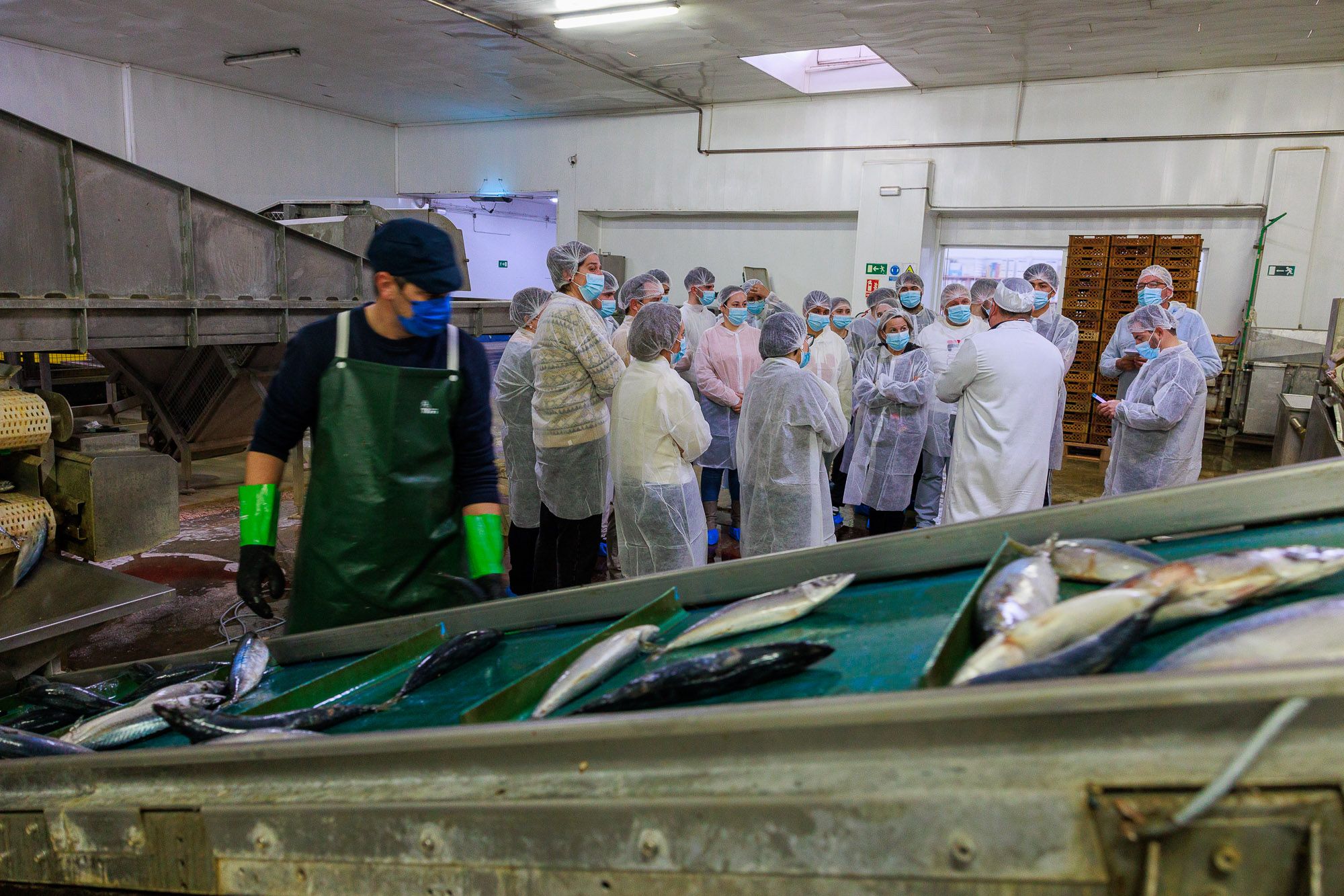 Conservera Tarifeña  03