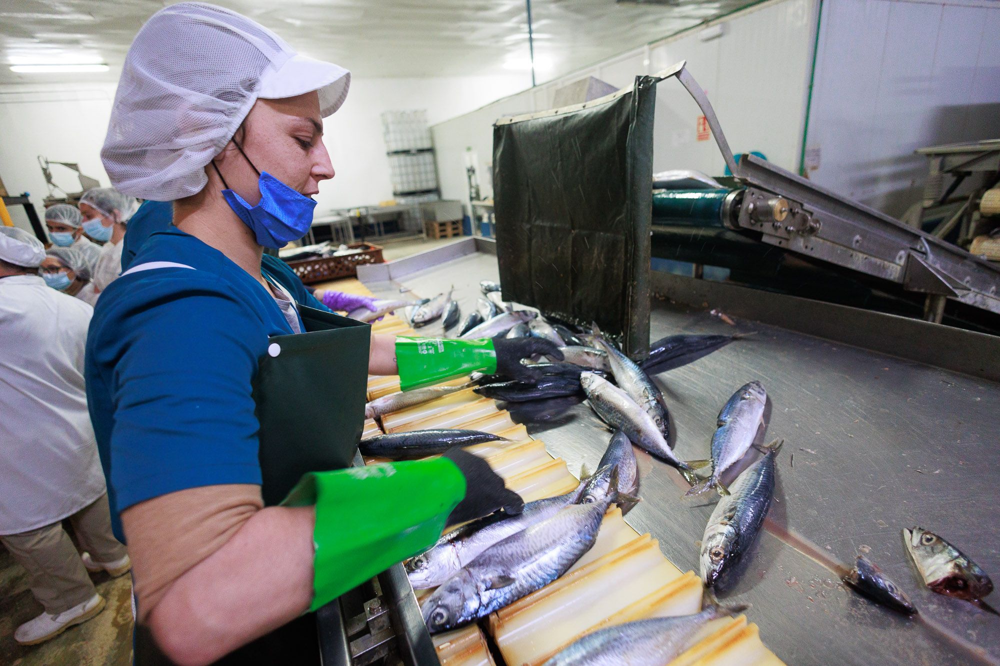 Conservera Tarifeña  06