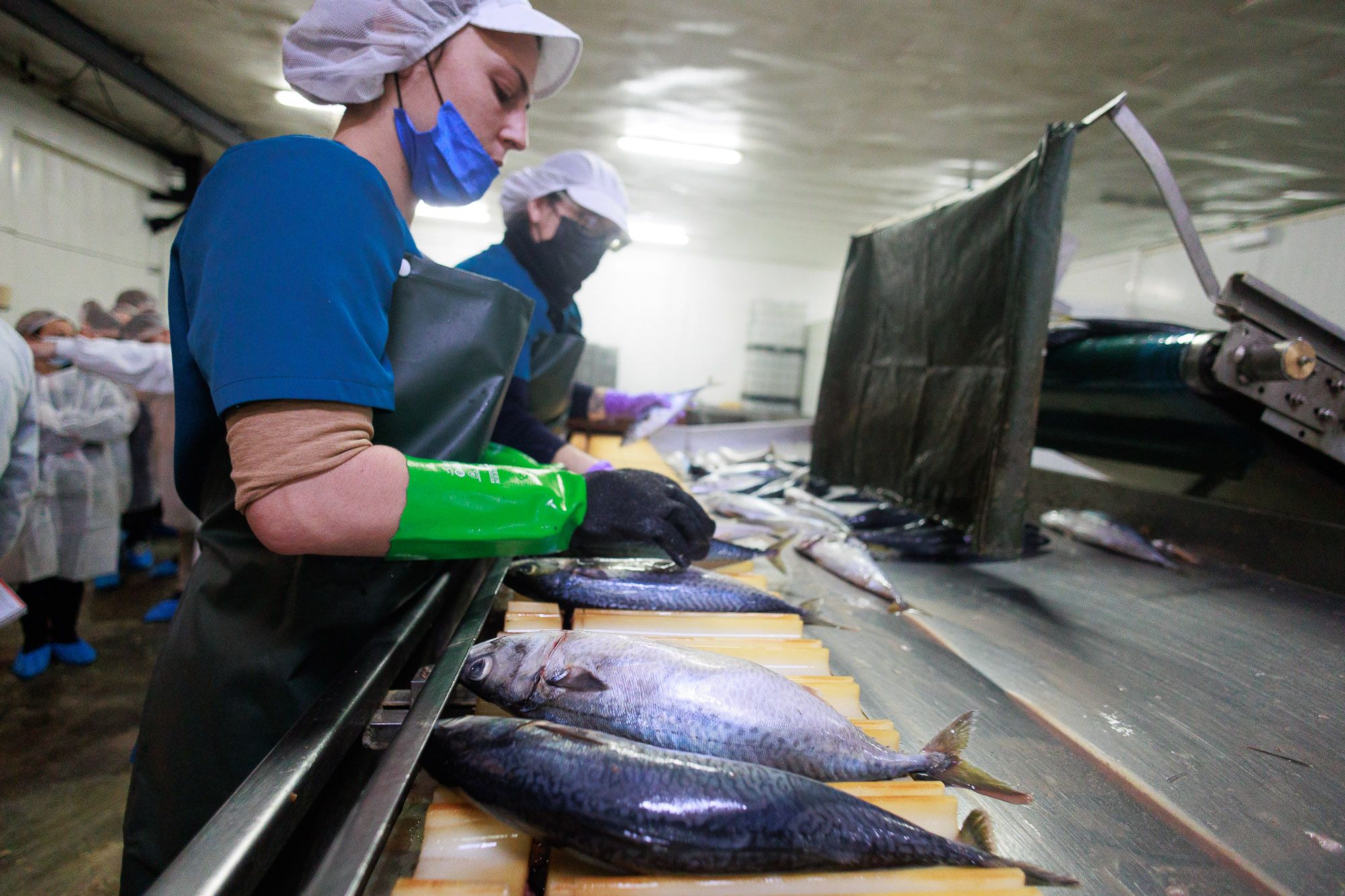 Conservera Tarifeña  07