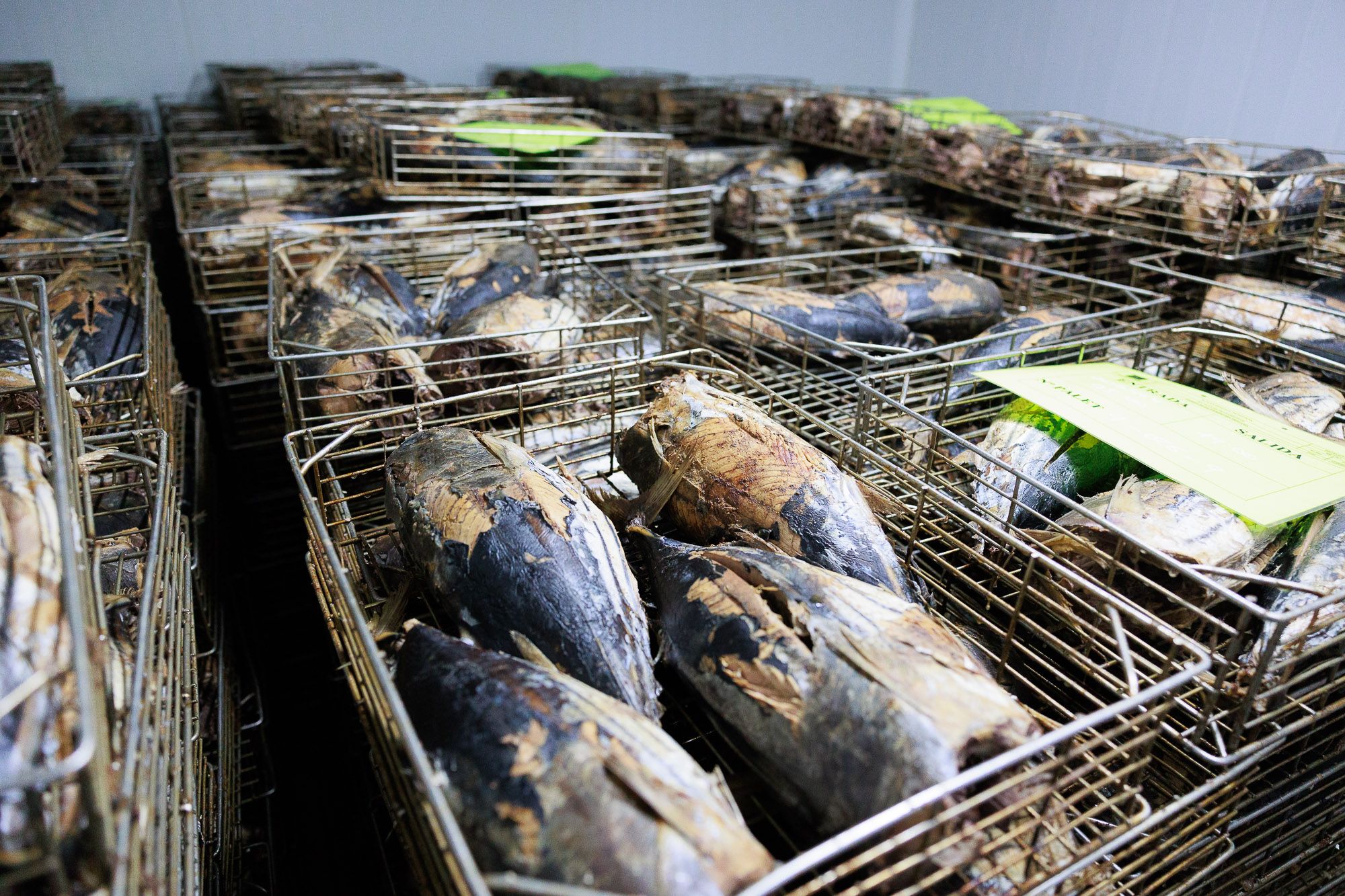 Conservera Tarifeña  09