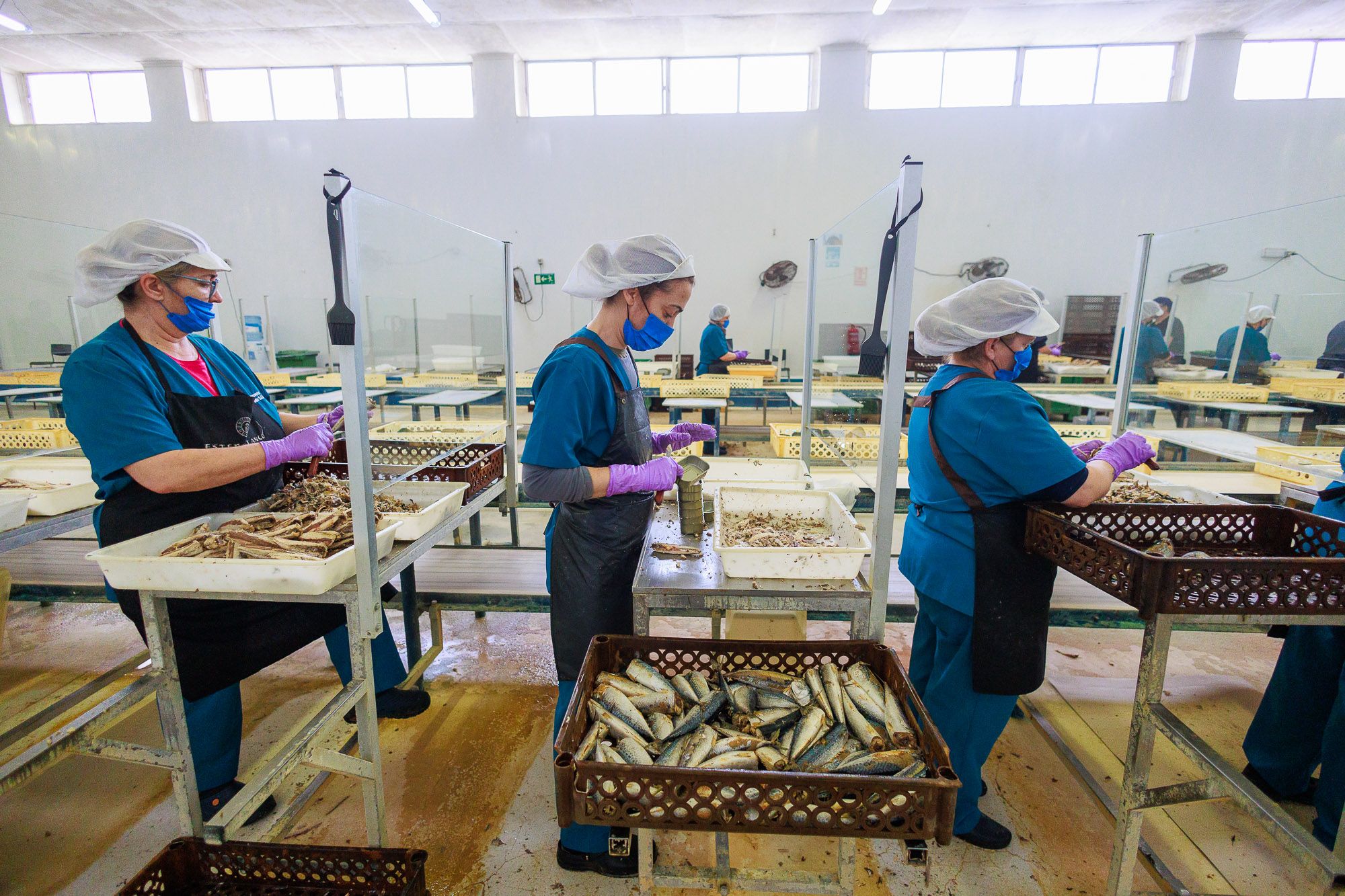 Conservera Tarifeña  12