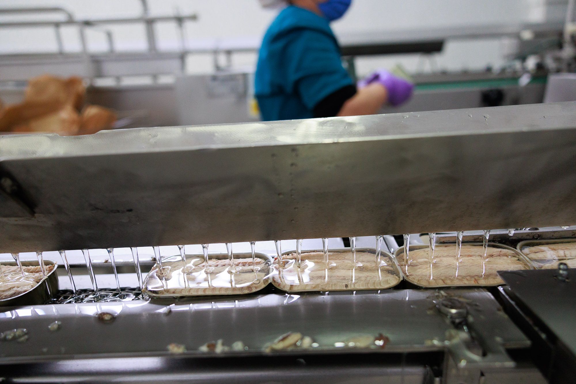 Conservera Tarifeña  14