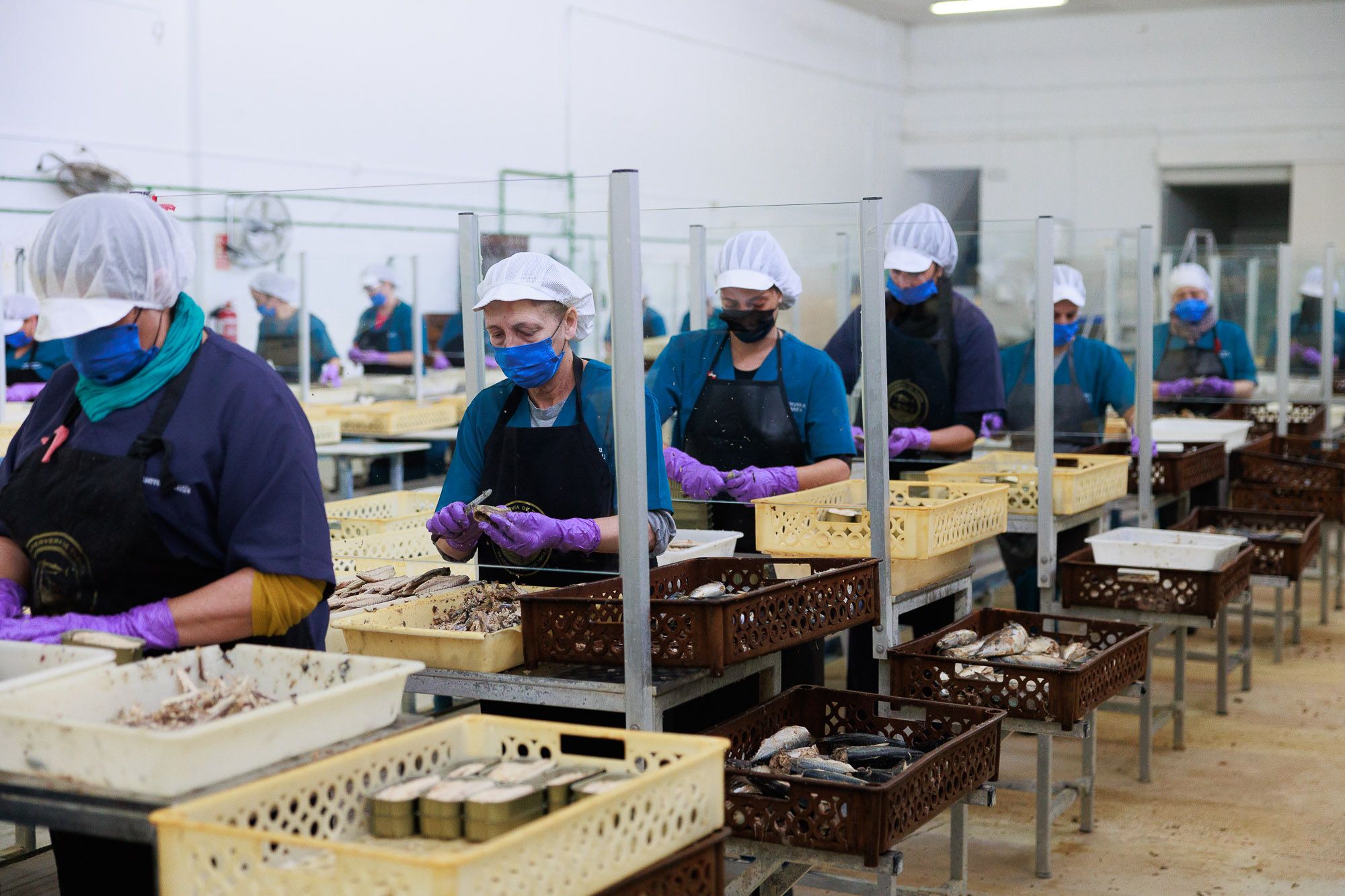 Conservera Tarifeña  15