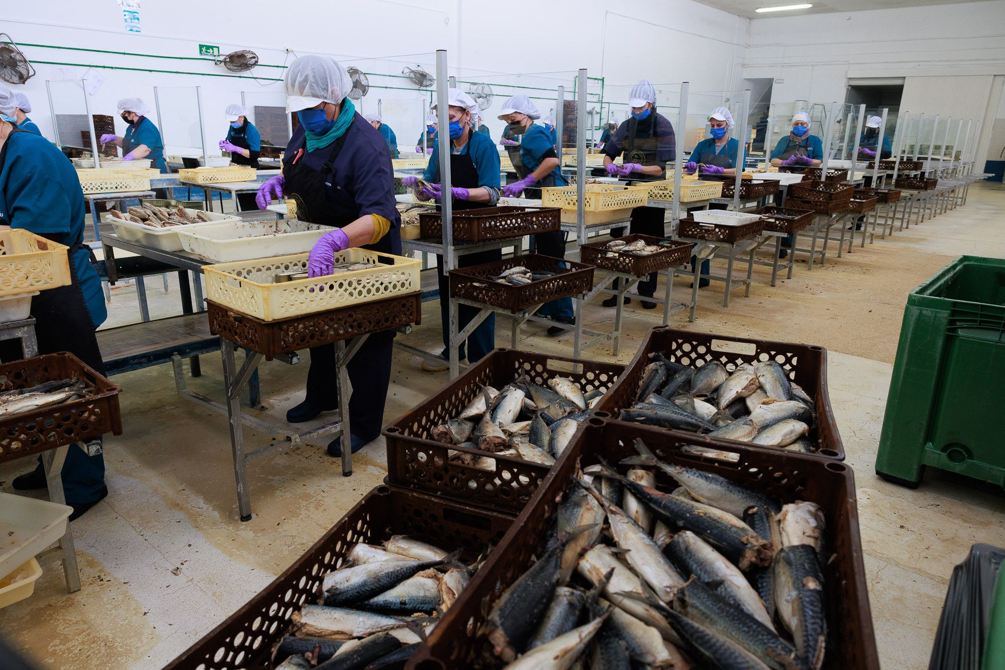 Conservera Tarifeña  16