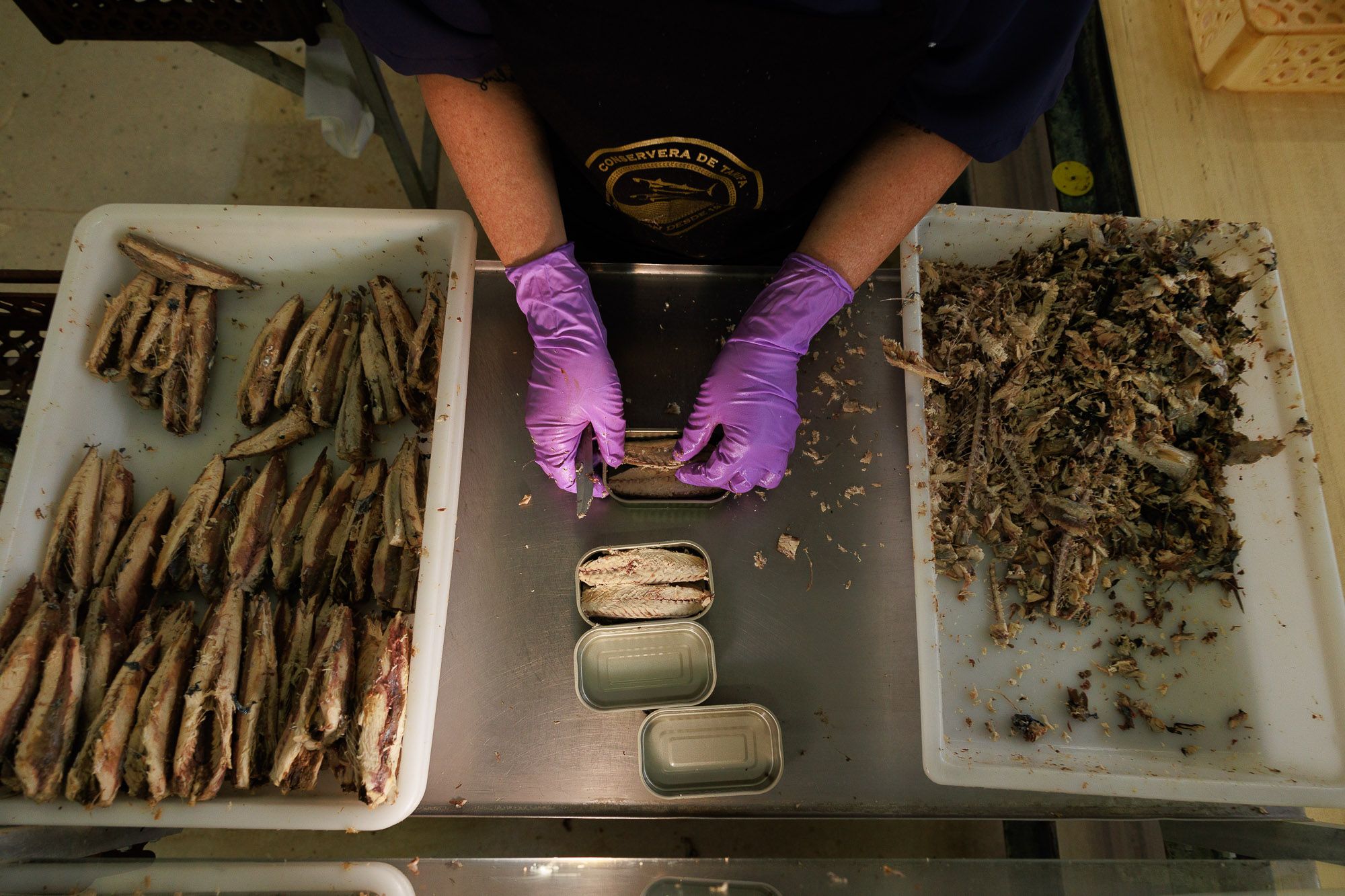 Conservera Tarifeña  18