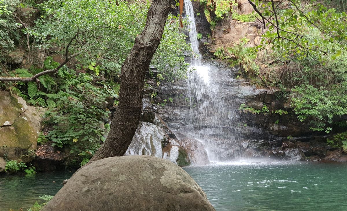 La garganta del capitán en una imagen reciente. La garganta del capitán en una imagen reciente.