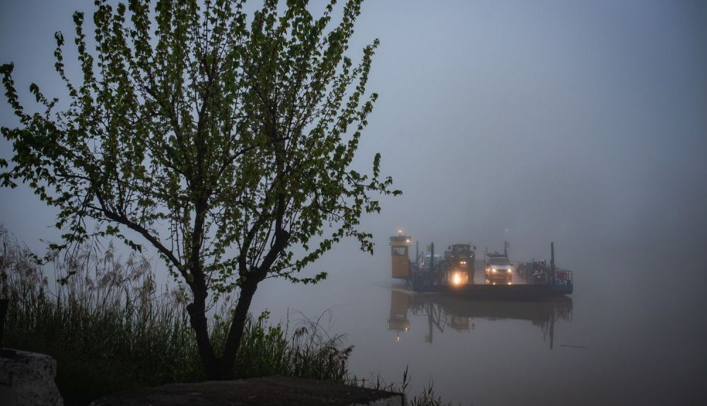 Así es un día de niebla en la barcaza de Coria, un universo propio a orillas del Guadalquivir