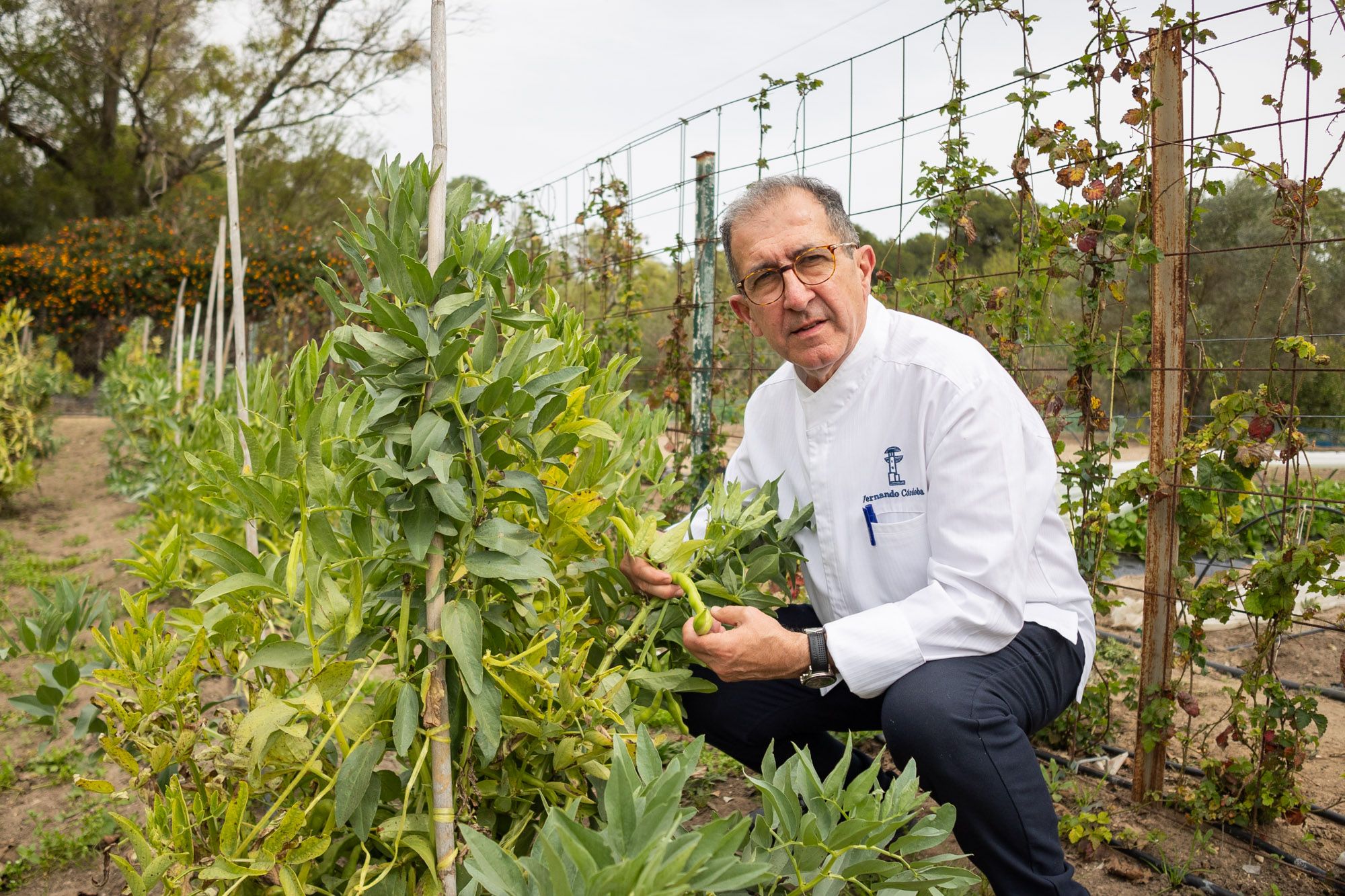 Fernando enseñando las mata de habas