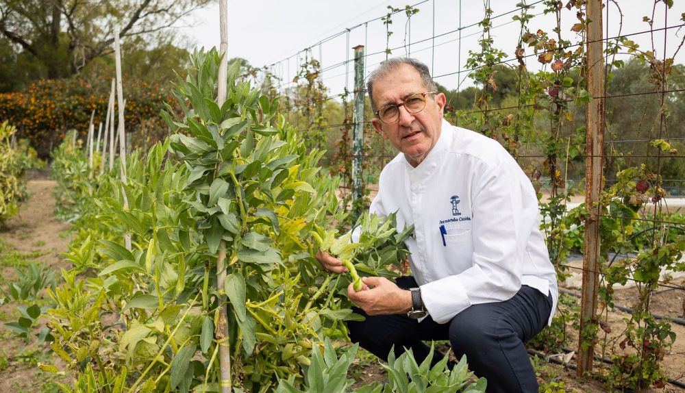 Fernando enseñando las mata de habas