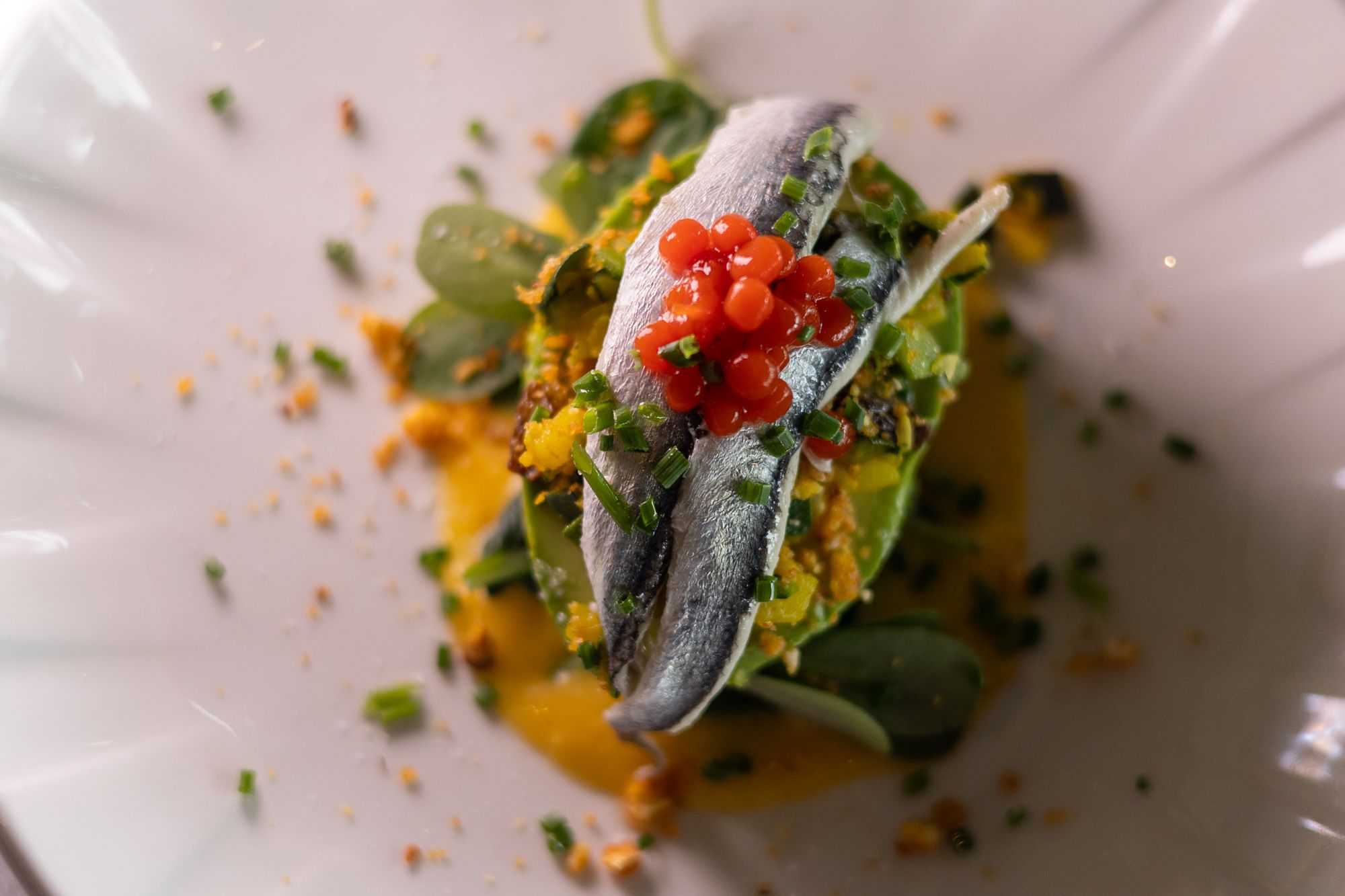 Aguacate relleno de salsa de maíz con boquerones