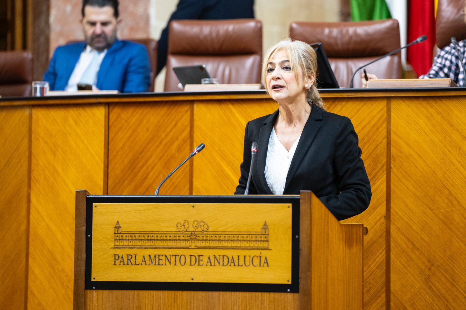La consejera Del Pozo en el Parlamento.