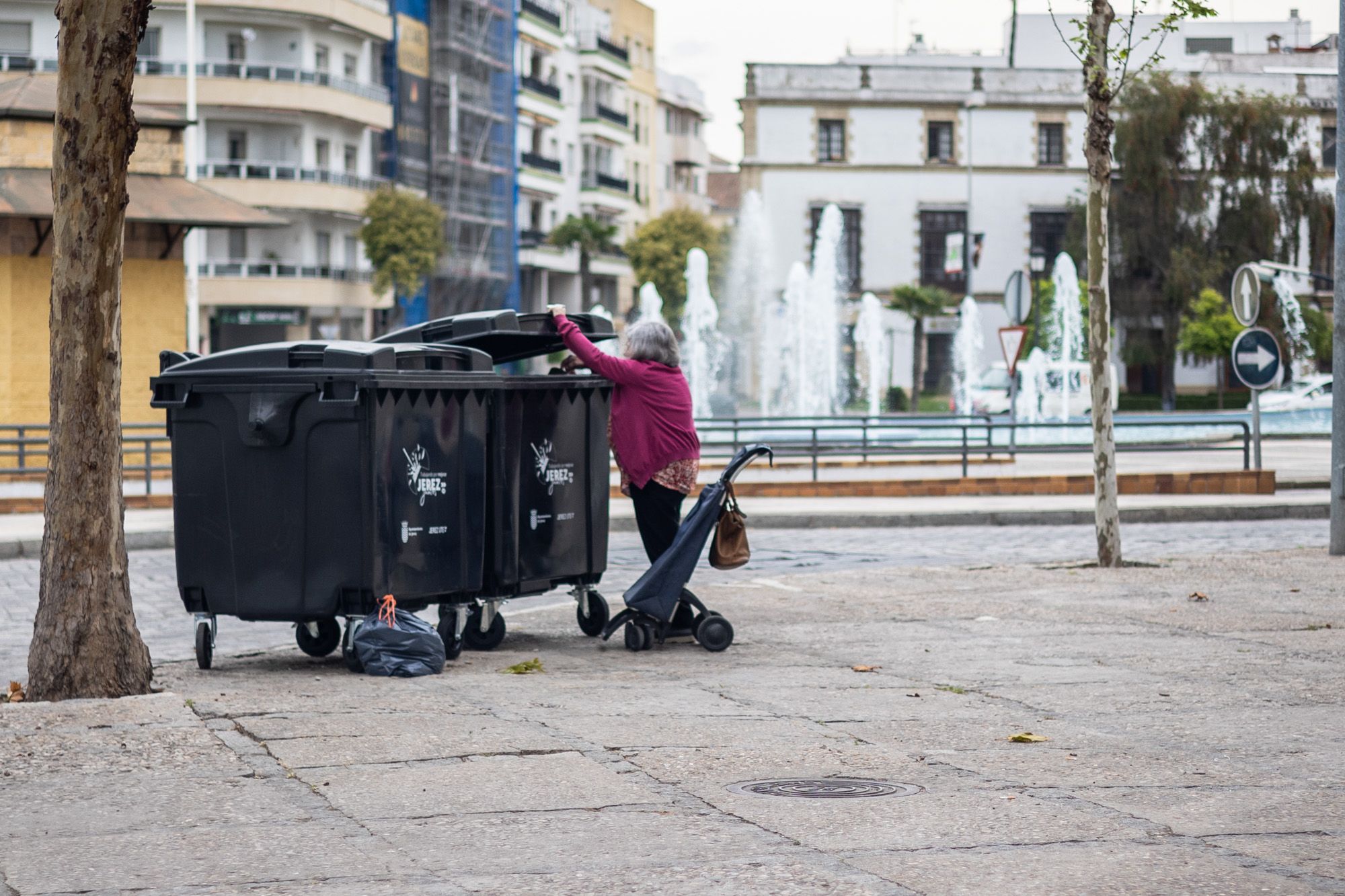 Cubos de basura instalados en pleno centro de Jerez.