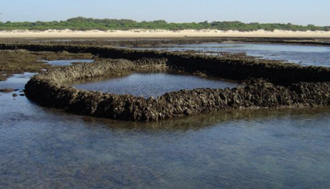 Los corrales de Rota, en una imagen de archivo.
