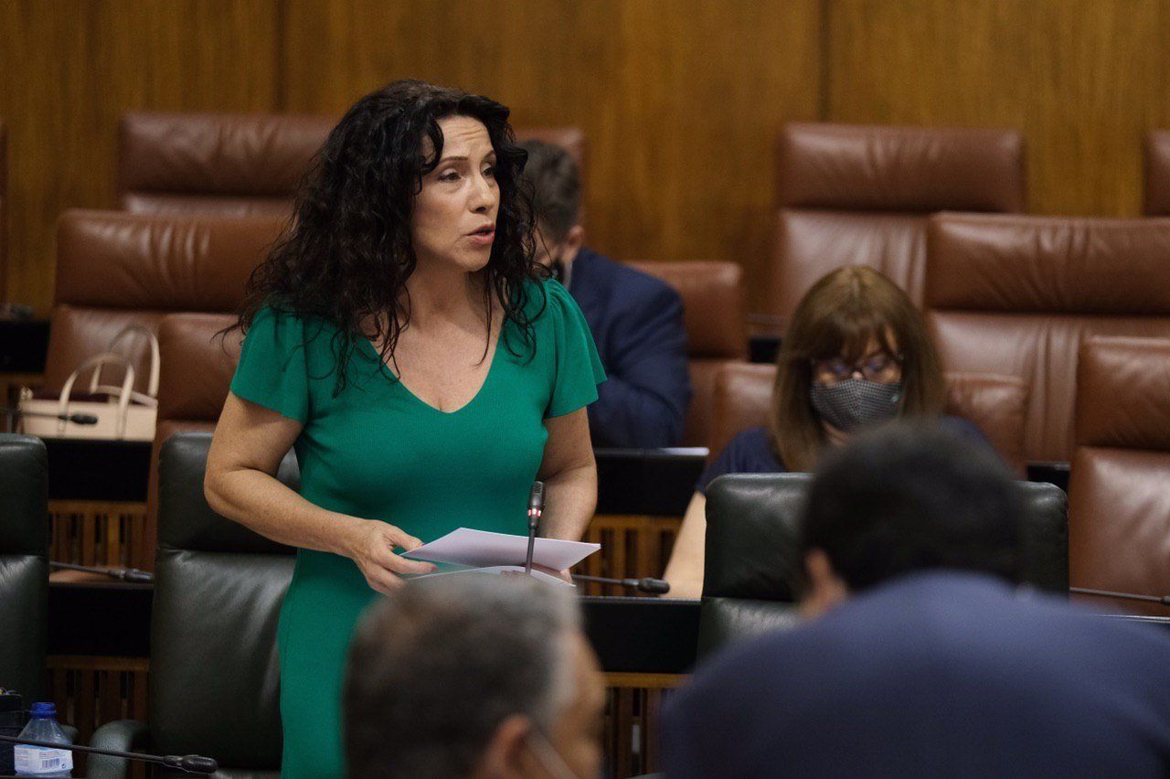 La consejera Rocío Ruiz, este jueves en el Parlamento.