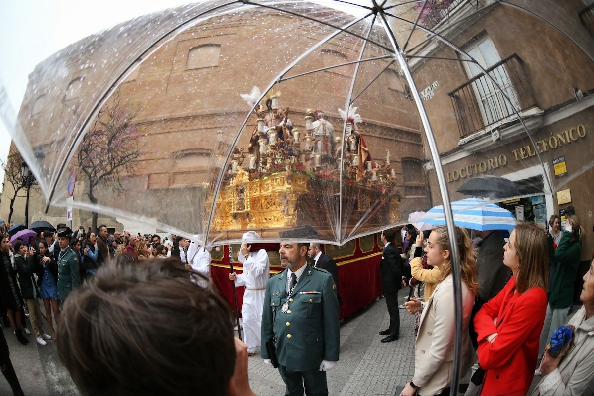 Domingo de Ramos en Cádiz 