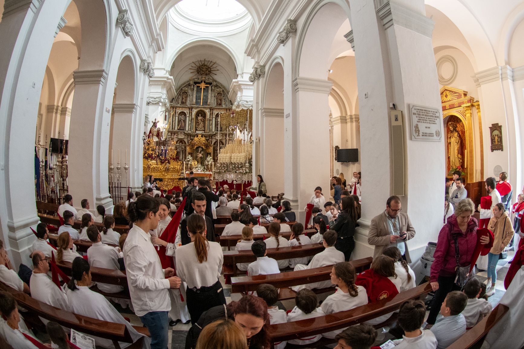 Domingo de Ramos en Cádiz 