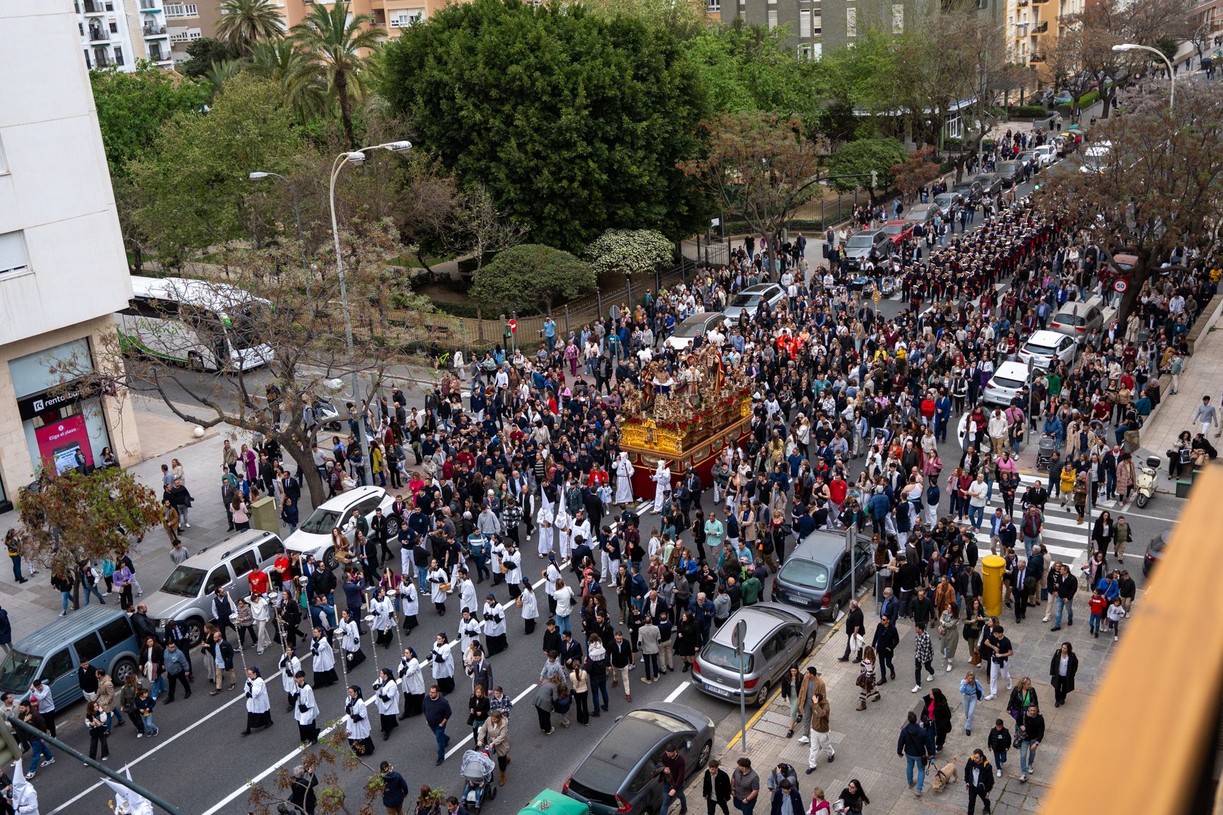 Domingo de Ramos en Cádiz 