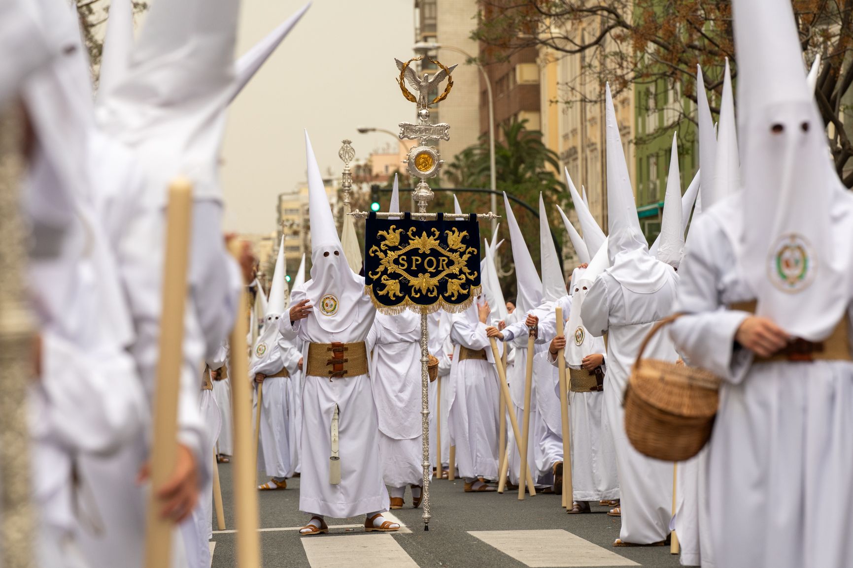 Domingo de Ramos en Cádiz 