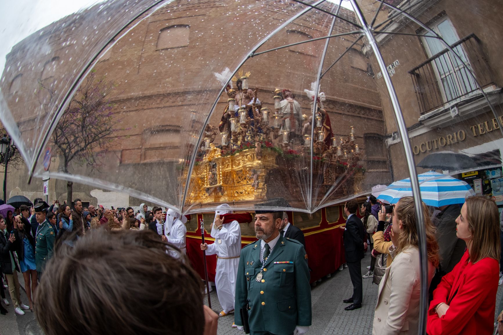 Domingo de Ramos en Cádiz 