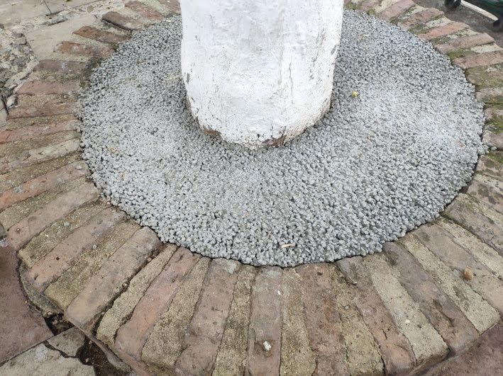 Un alcorque de El Bosque, tapado con hormigón.