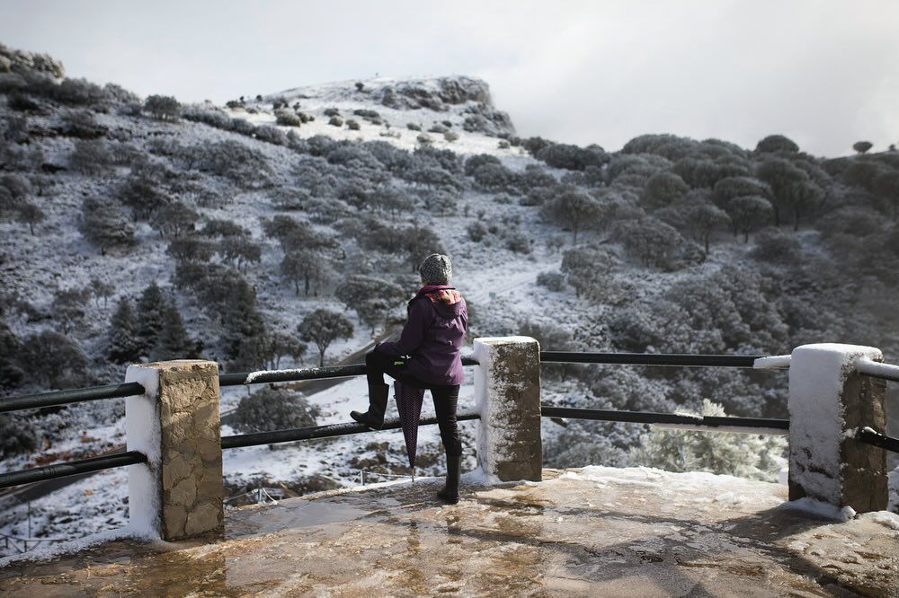 Nieve en Grazalema, en una imagen de Francisco Romero difundida por 'Radio Grazalema' este martes.