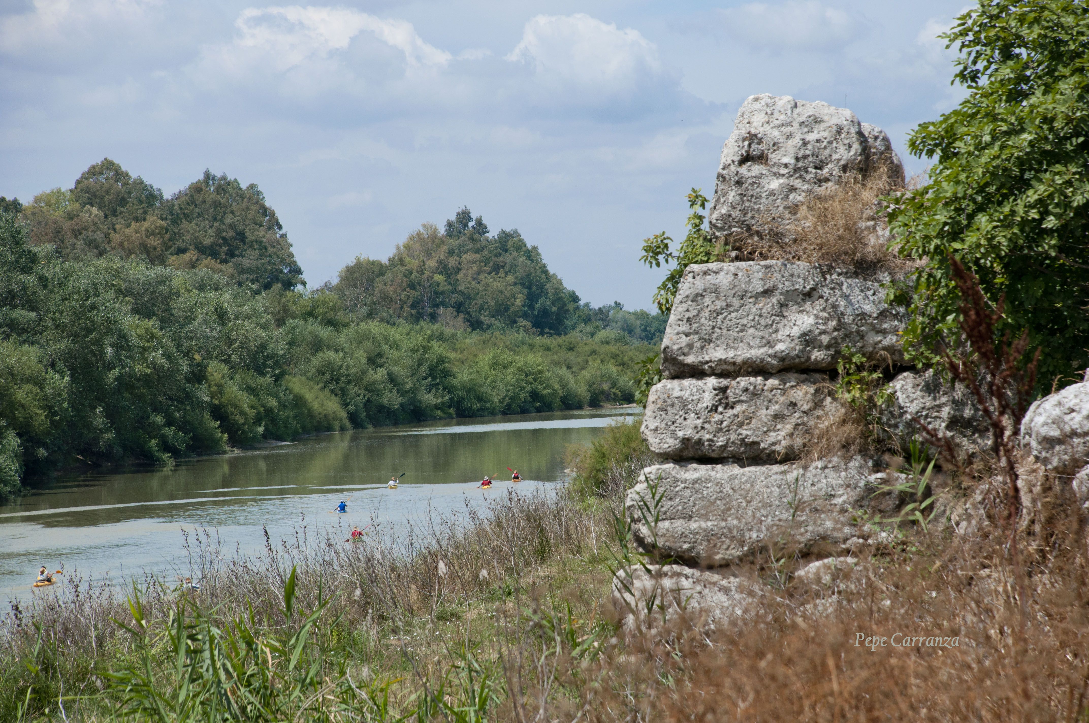 Salud declara no apta para el consumo el agua del municipio sevillano de Peñaflor. Salud declara no apta para el consumo el agua del municipio sevillano de Peñaflor.